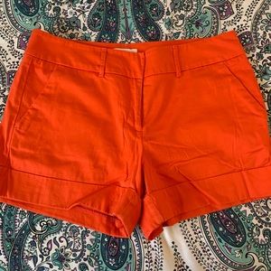 New York & Company Shorts
